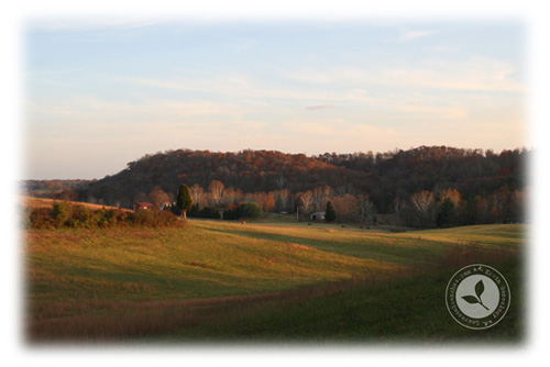 Mt. Herman Cemetery, Meigs County, Ohio